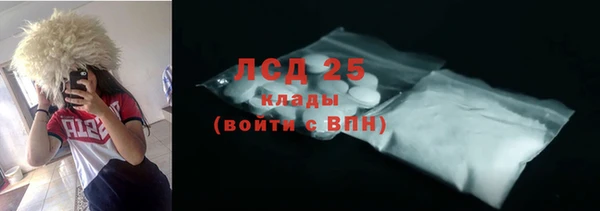 крисы Елабуга
