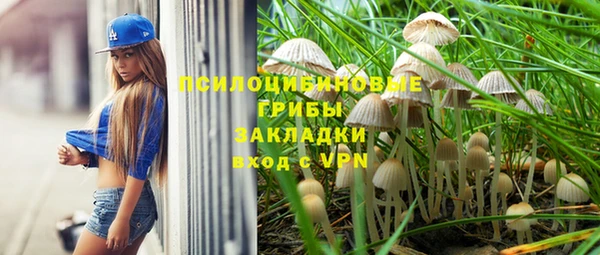 крисы Елабуга