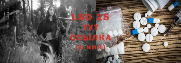 крисы Елабуга