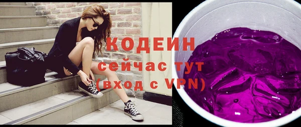 крисы Елабуга