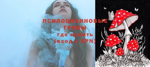 мяу мяу кристалл Ельня